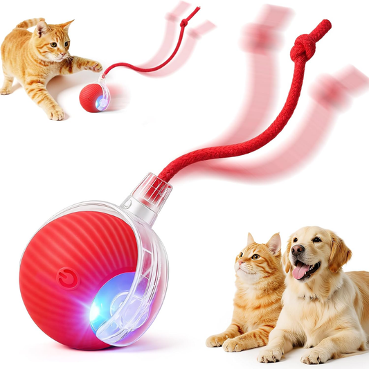 Pelota Interactiva y Recargable